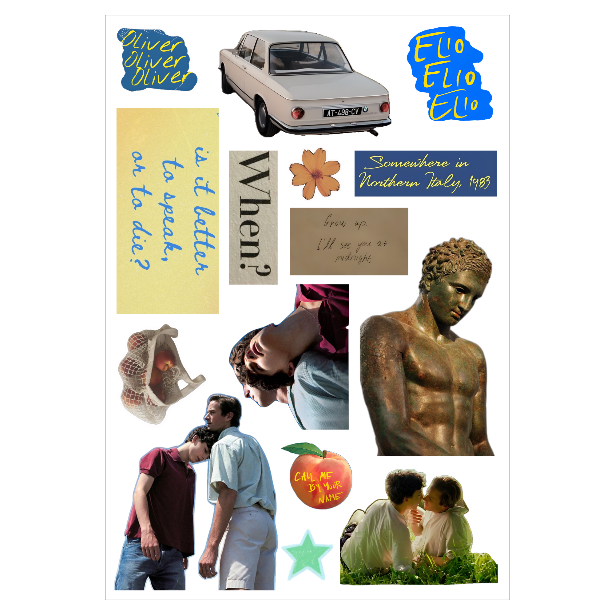 Set of 6 Sheets CMBYN Inspired Sticker Pack