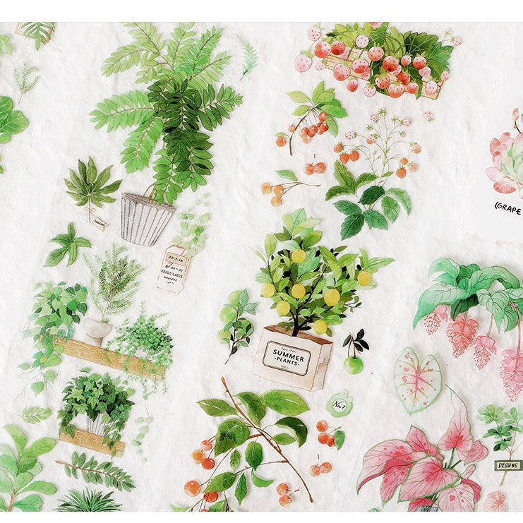 Indoor Plants Sticker Sheet