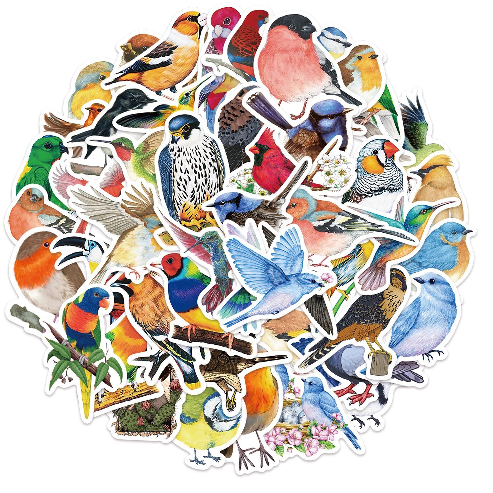 Colorful Bird Stickers