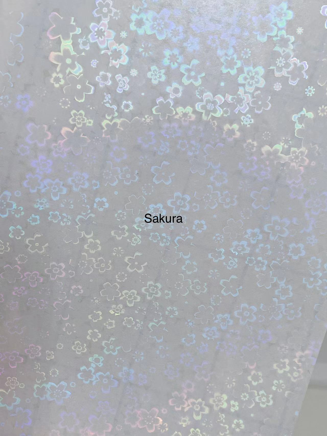 Holographic self film