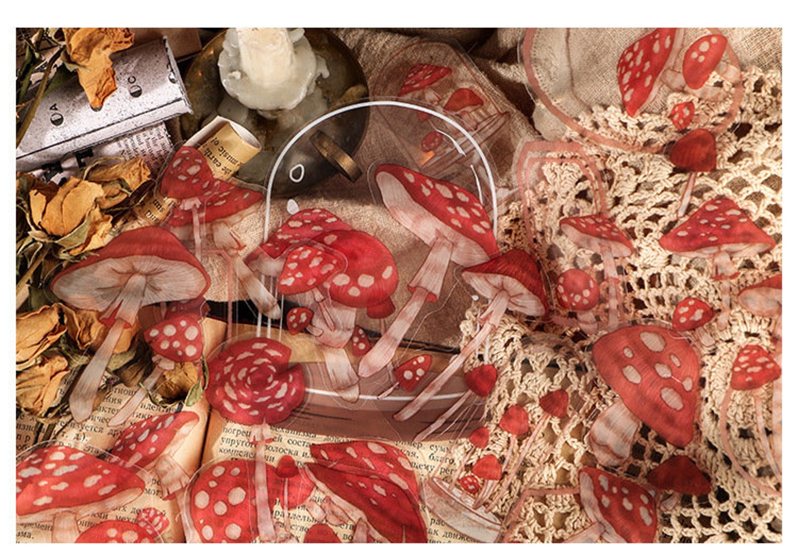 Set of 20pcs mushroom stickers, butterfly stickers, fern stickers, red floral stickers, planet stickers, clear stickers