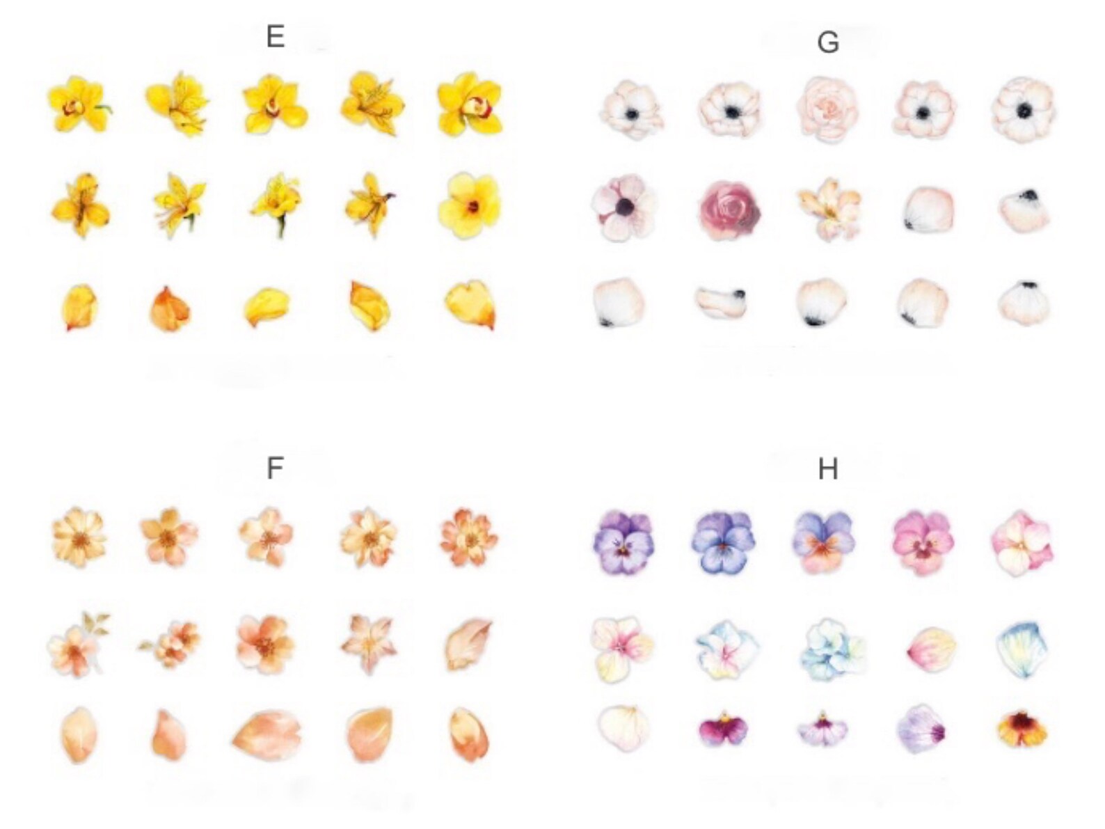 Sparkle Petals Stickers