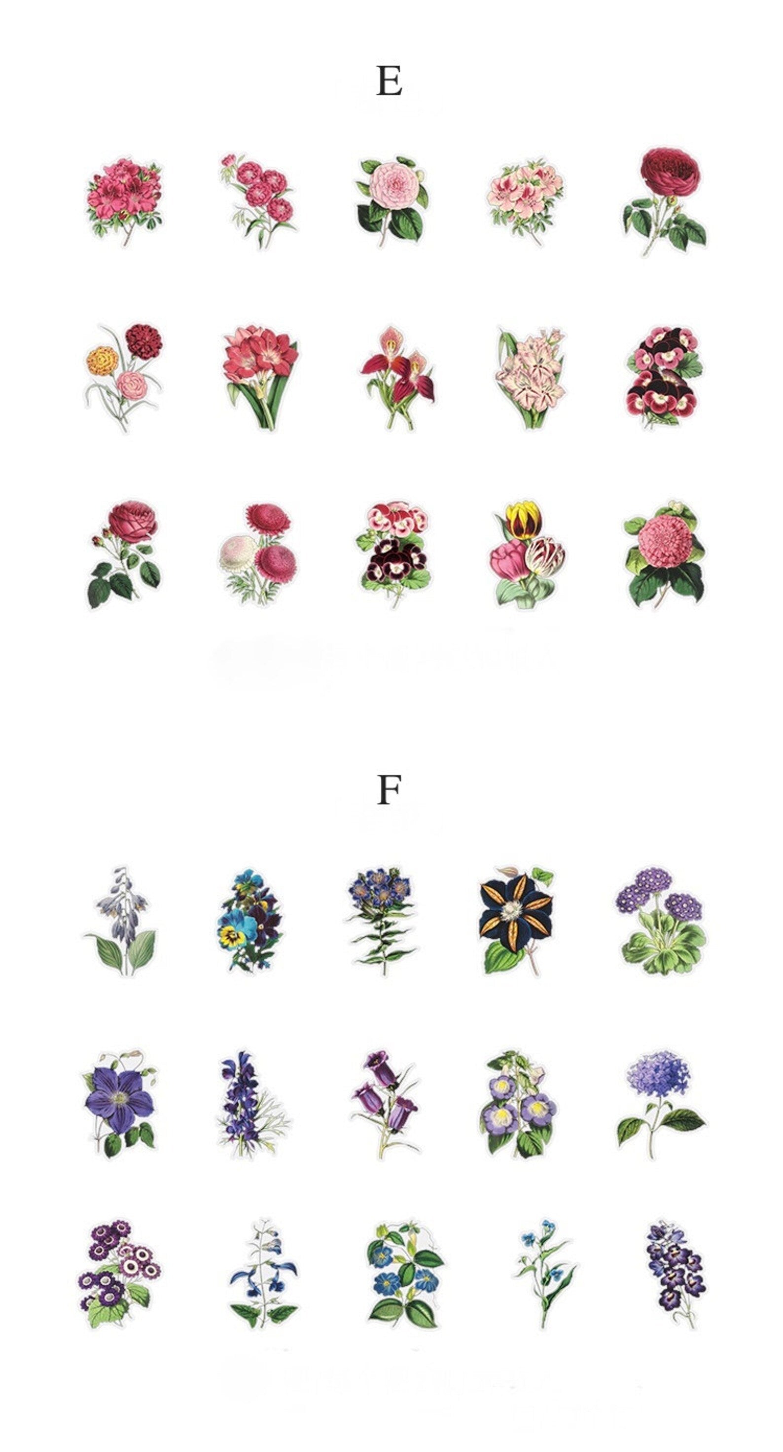 PET Botanical Sticker
