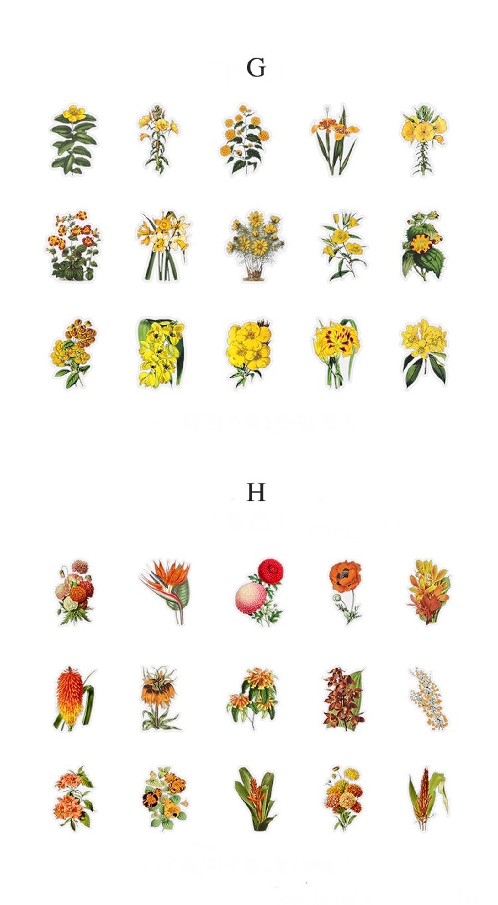 PET Botanical Sticker