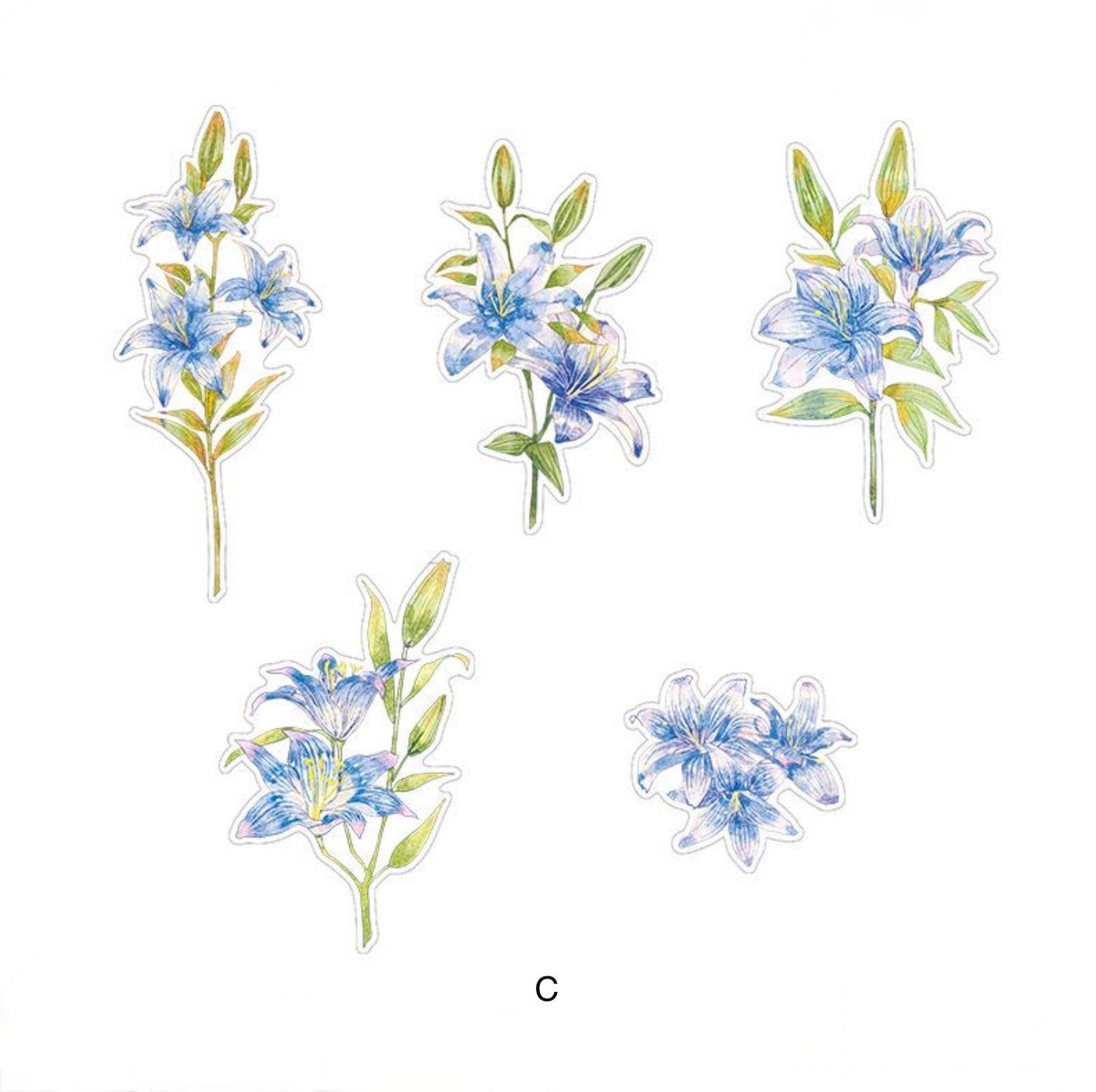 PET Flower Sticker Pack