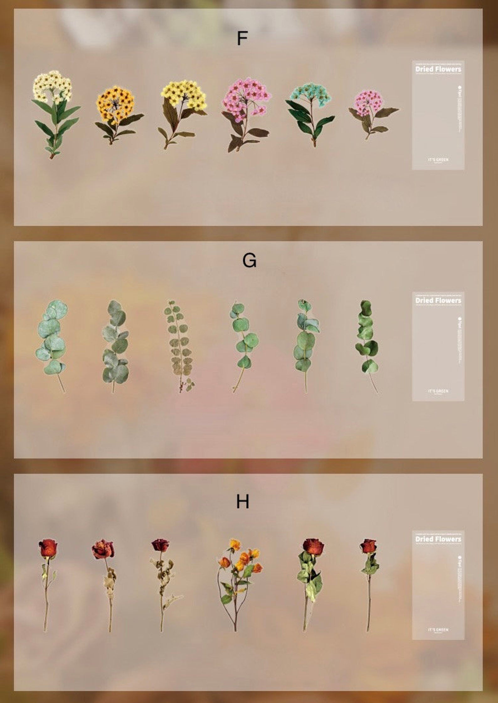 Dried Flower Sticker Pack