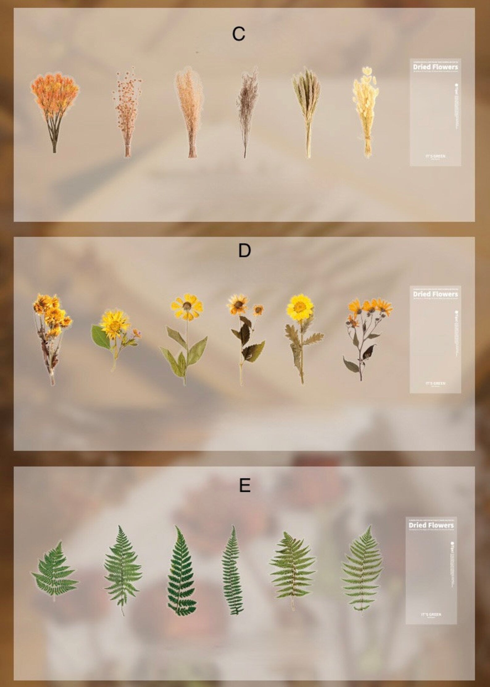 Dried Flower Sticker Pack