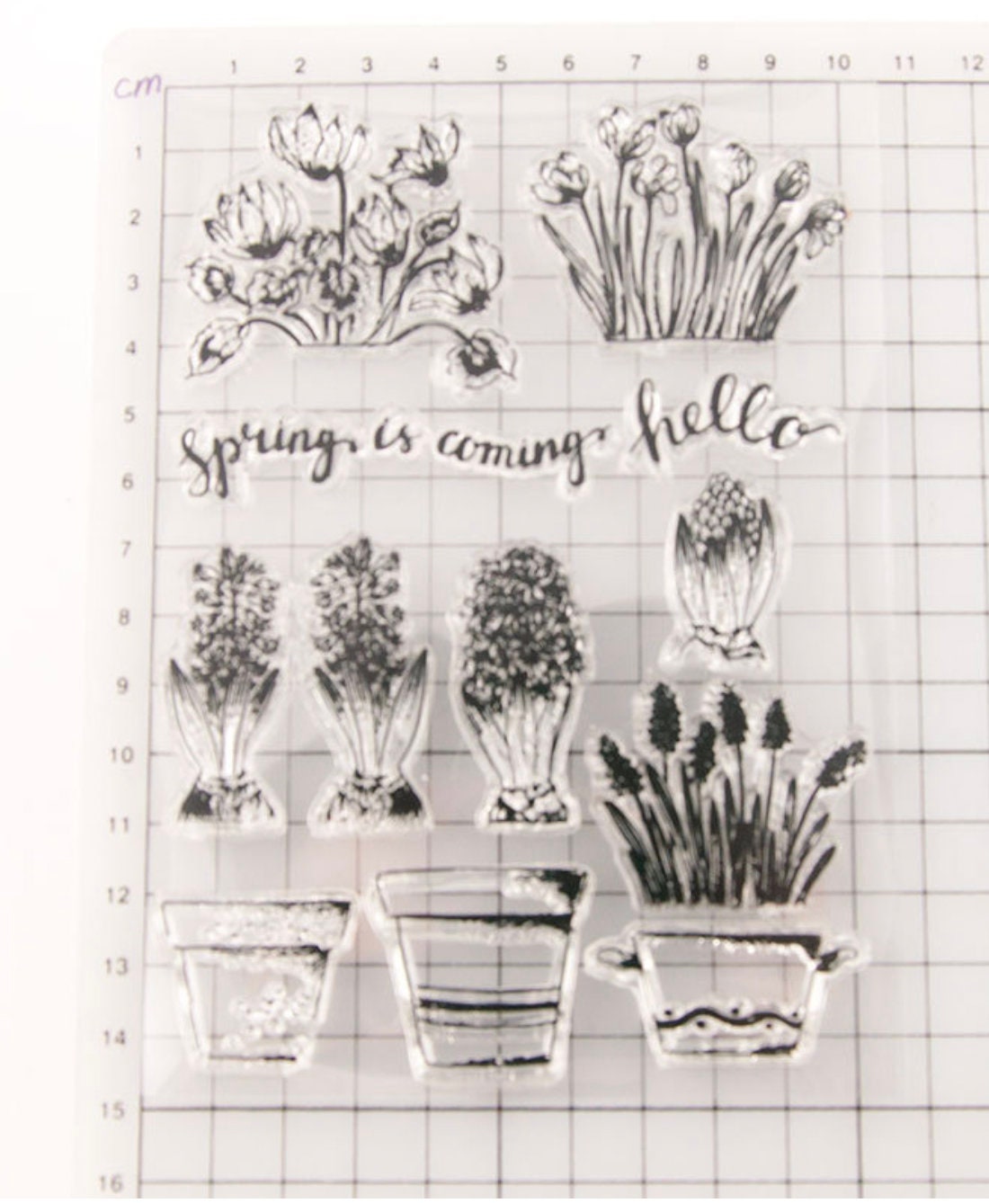 House Plant Stamp Set