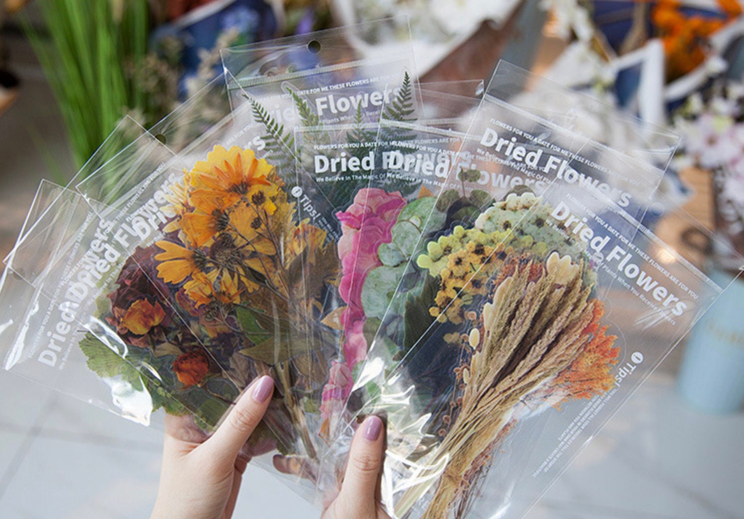 Dried Flower Sticker Pack