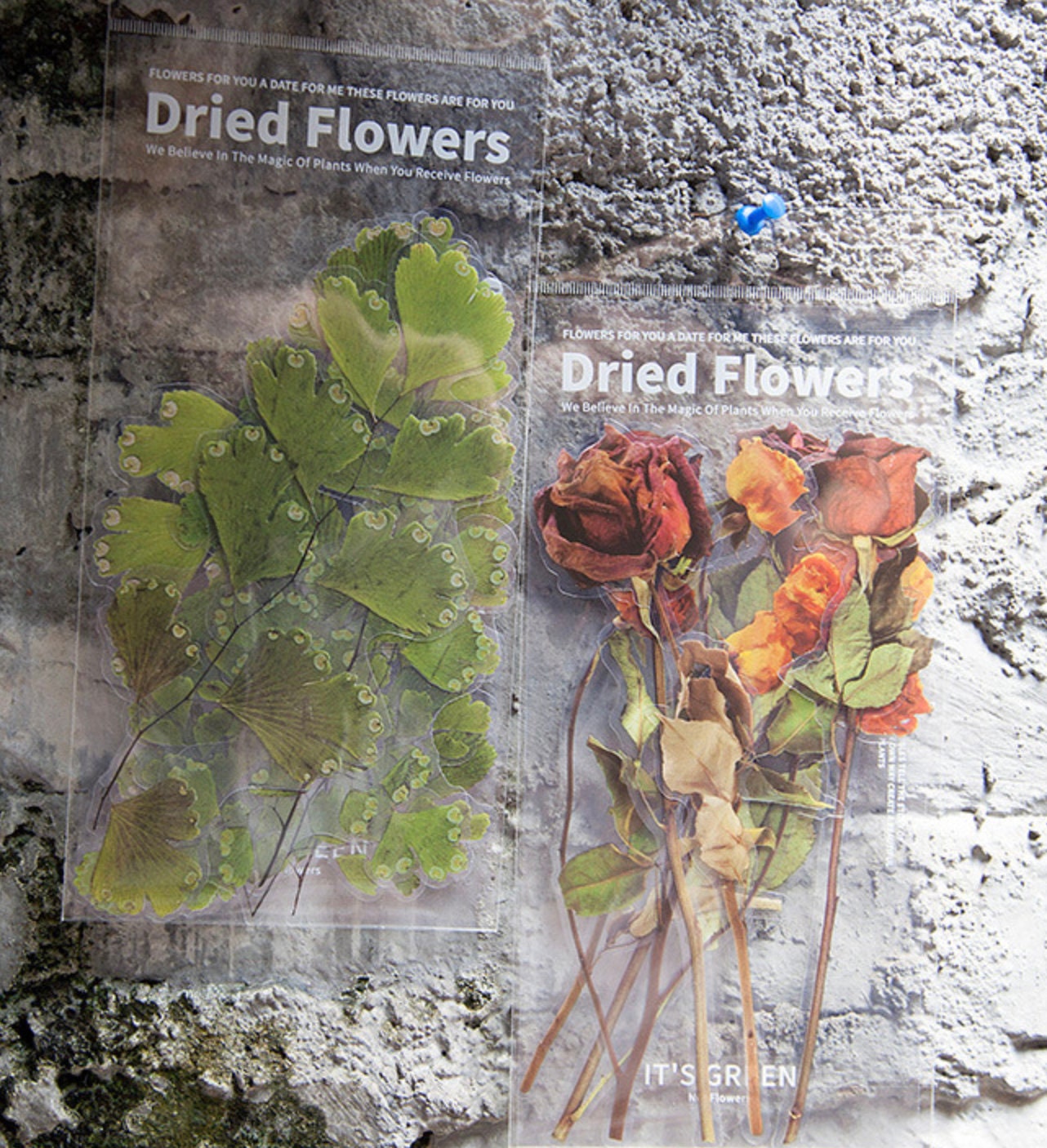 Dried Flower Sticker Pack